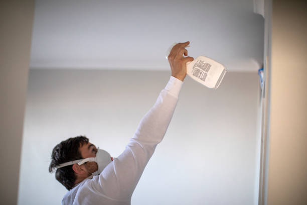 Best Toxic Mold Removal  in Chain Lake, WA